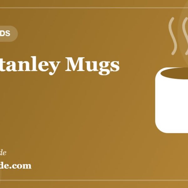 Best Stanley mugs - featured guide image