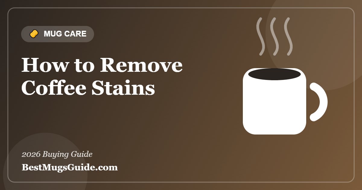How to remove coffee stains from mugs - featured guide image